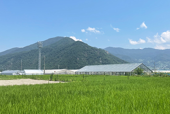 長野県　栽培工場の風景
