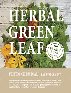 [冷蔵]ハーバルグリーンリーフ